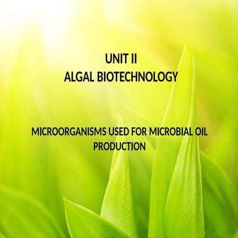Microorganism used for microbial oil production.pptx