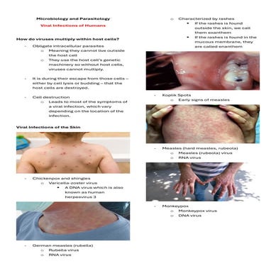 Microbiology and Parasitology Viral Infections of Humans