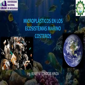 Microplásticos en ecosistemas acuáticos marinos 