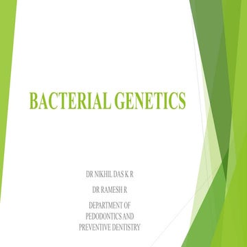 bacterial genetics