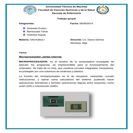 PARTES INTERNAS DEL MICROPROCESADOR