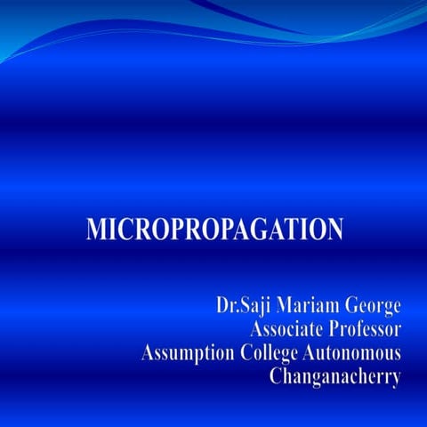 MICROPROPAGATION  SMG