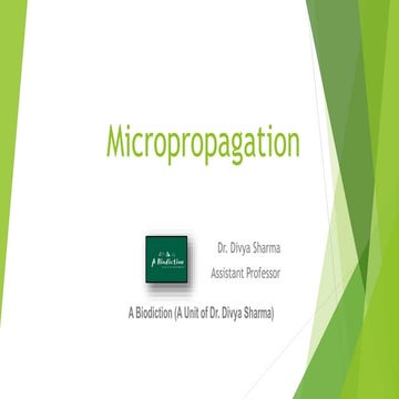 Micropropagation