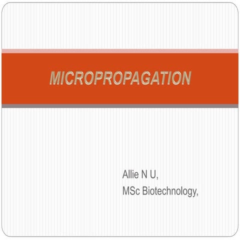 Micropropagation technique