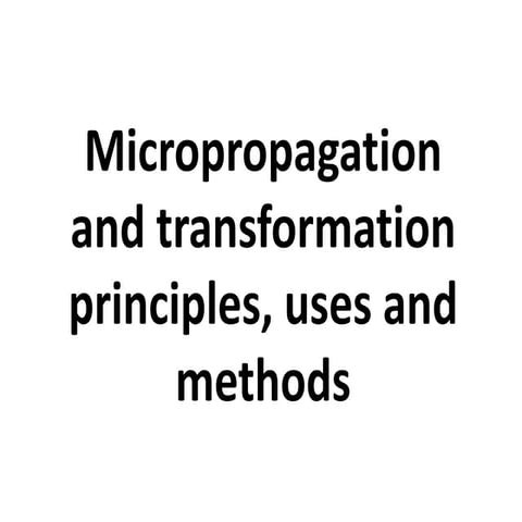 Micropropagation and transformation
