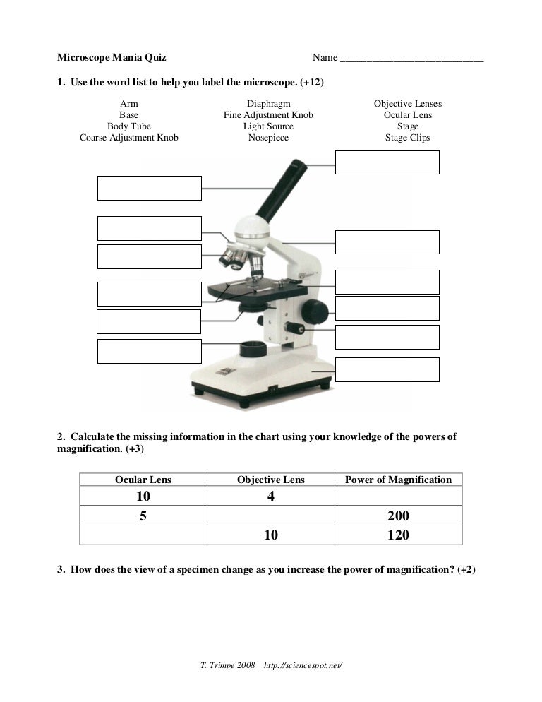 Microscope Quiz Microscope Quiz