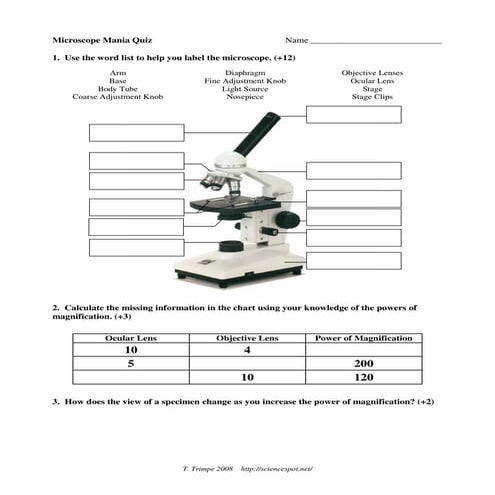 Microscope Quiz | PDF