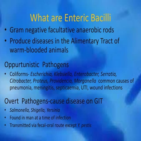 Enteric Bacilli