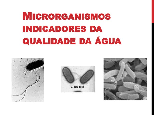 Microrganismos indicadores da quali...
