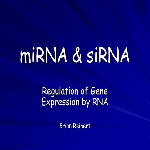 MicroRNA Small noncoding RNA features .ppt