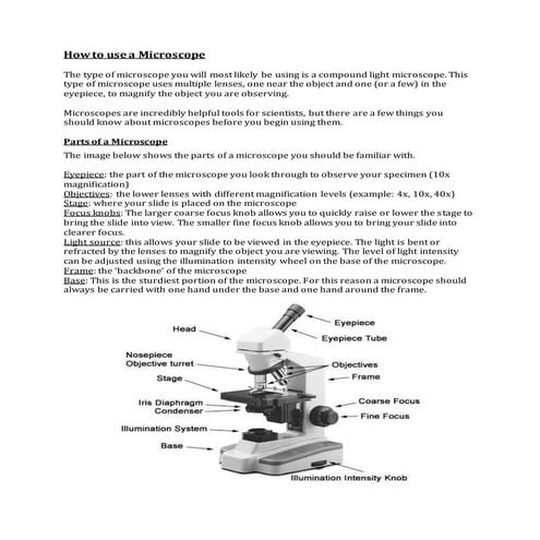 Microscope handout-ek