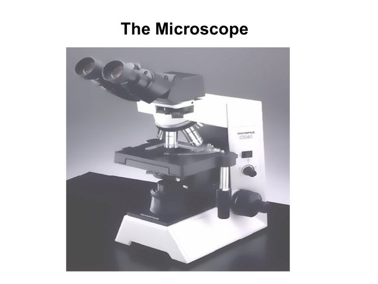 Microscope Lab