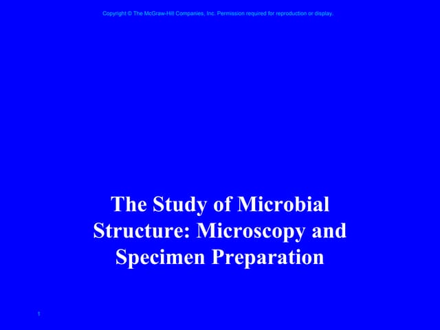 Microscope(222)