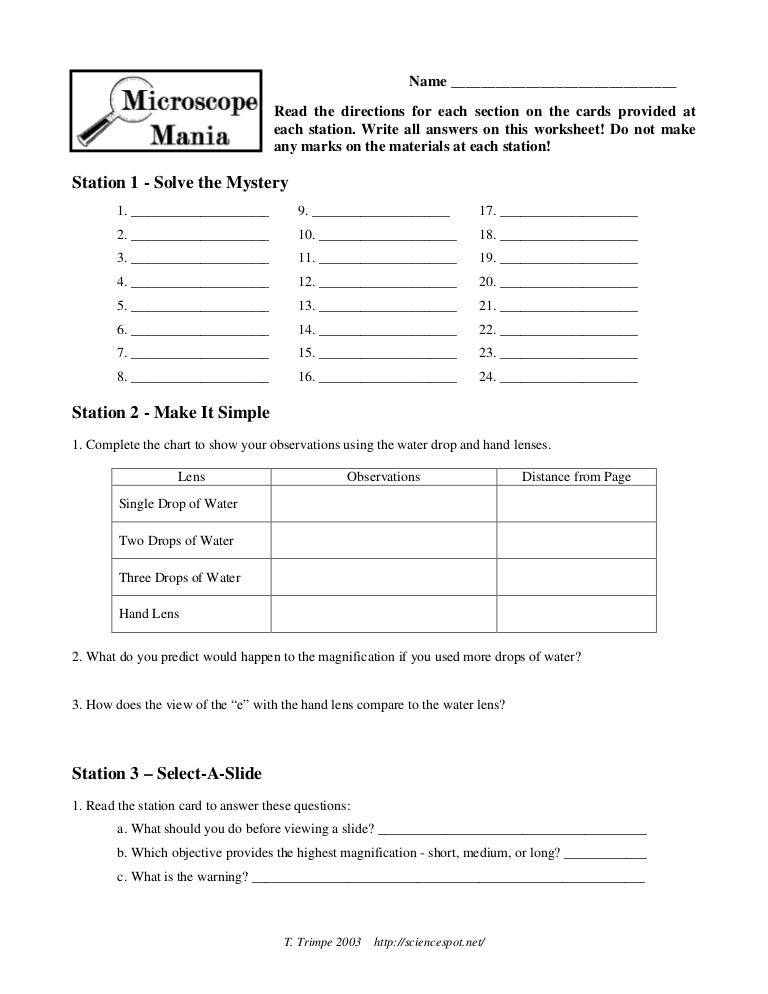 Laboratory assignment virtual microscopy essay 05 picture