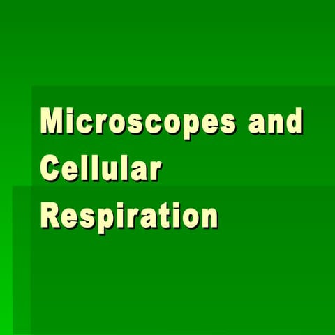 Microscopes And Cellular Respiration Review