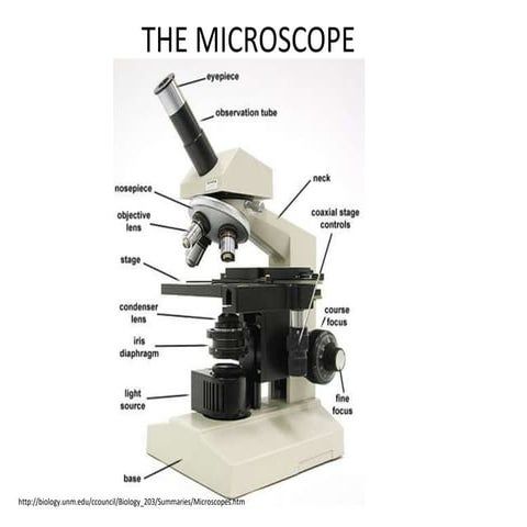 Microscope Use in medical laboratory .pptx