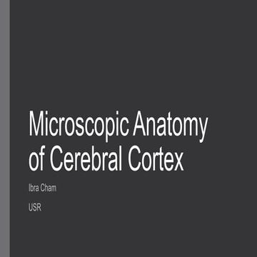 Microscopic anatomy of cerebral cortex