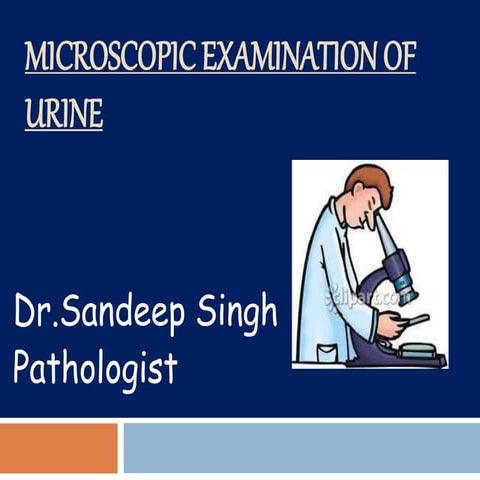 Microscopic examination of urine