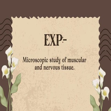 Microscopic study of muscular and nervous tissue(BP107P).pptx