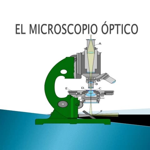 Microscopio electrónico