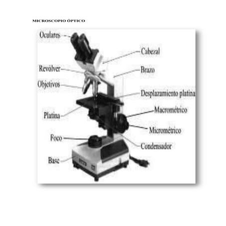 Microscopio óPtico | DOCX