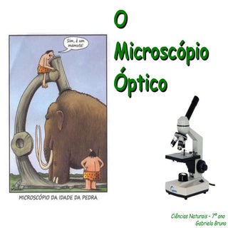 Microscópio Óptico 