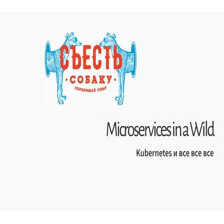 Microservices in a Wild.