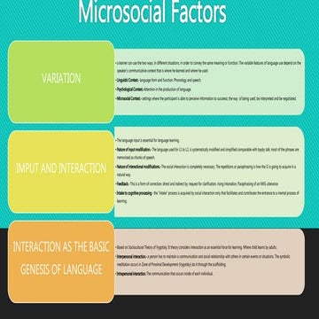 Microsocial factors