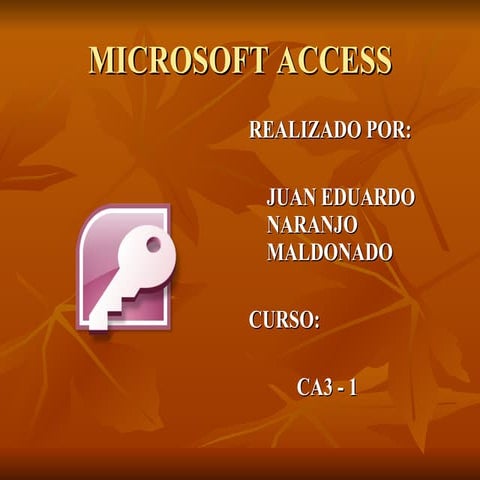 Microsoft Access