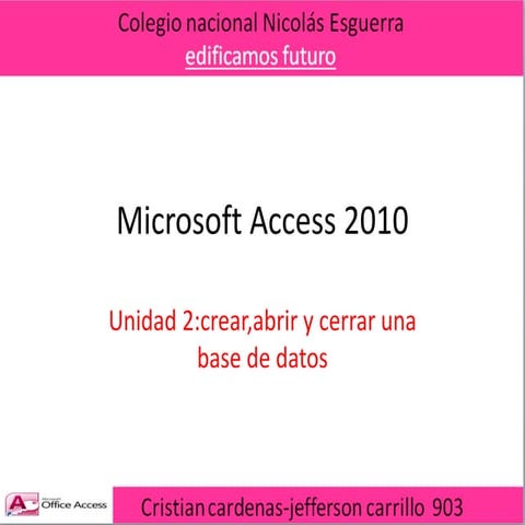 Microsoft access 2010
