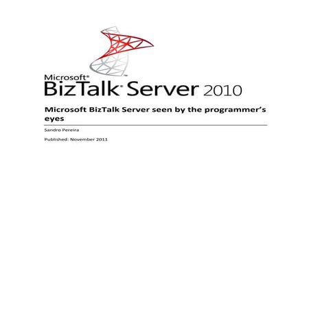 Microsoft BizTalk server seen by the programmer’s eyes