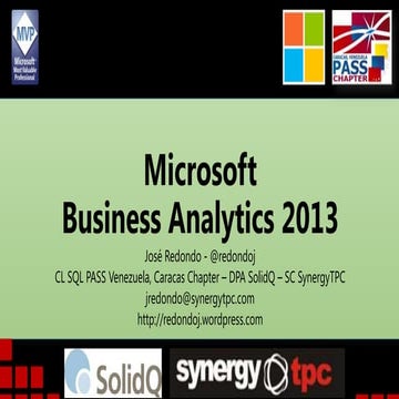 Microsoft Business Analytics 2013