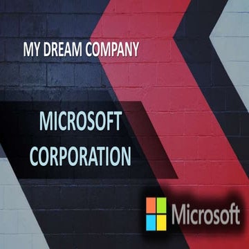 Microsoft company