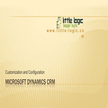 Microsoft Dynamics CRM - Customization and Configuration Training Online Cour...