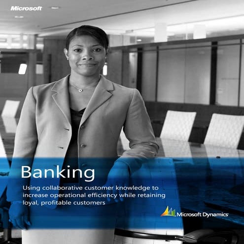Microsoft Dynamics CRM - Banking