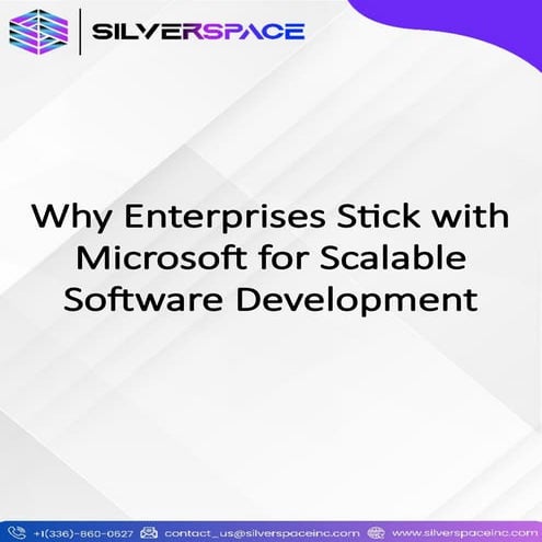 Microsoft Enterprise Software Development Services | PDF