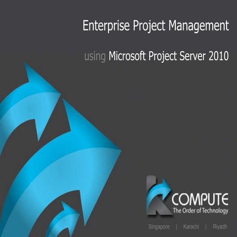 Enterprise Project Management overview