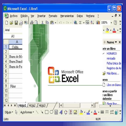 Microsoft Excel