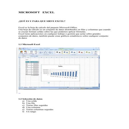 Microsoft   excel