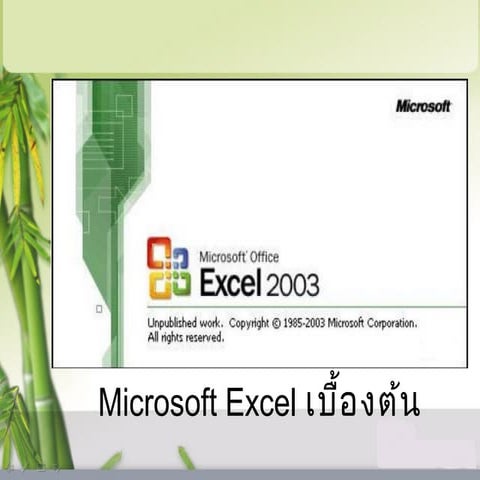 Microsoft excel เบื้องต้น