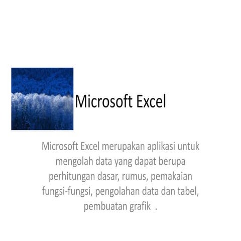 Microsoft excel