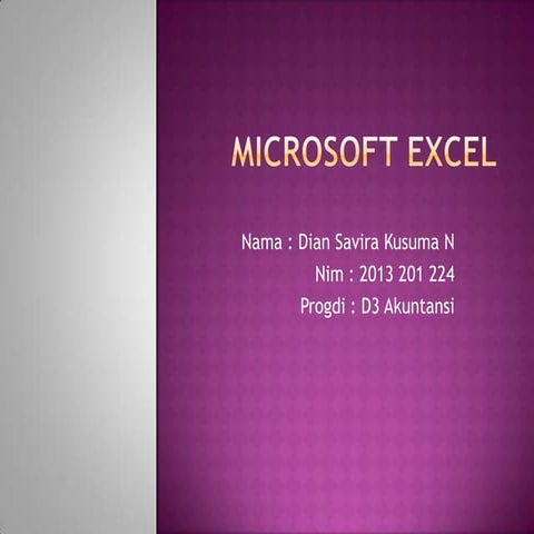 Microsoft excel_DIAN SAVIRA D3 AKUNTANSI