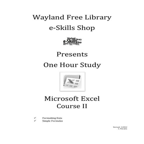 Microsoft excel 2010   course ii