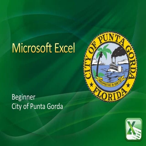 Microsoft Excel for the Beginner