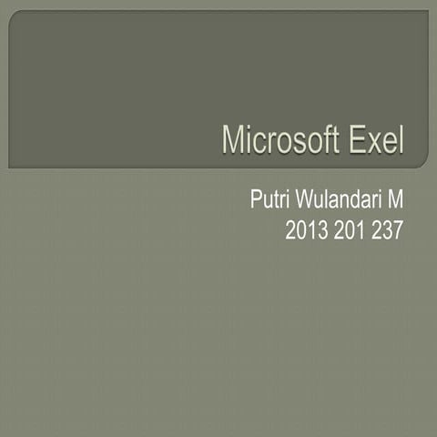 Microsoft exel