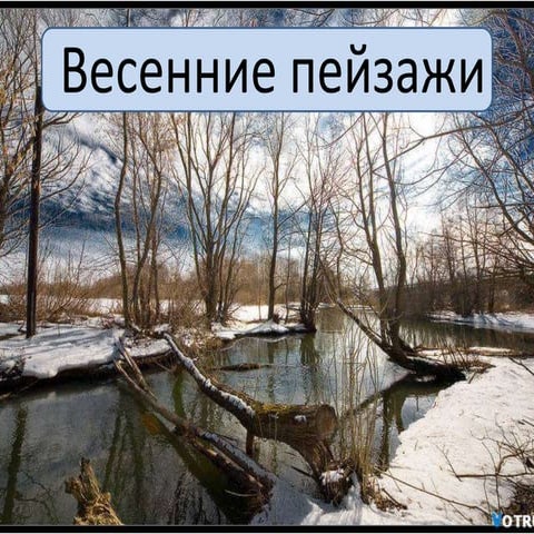 Моя презентация | PPT