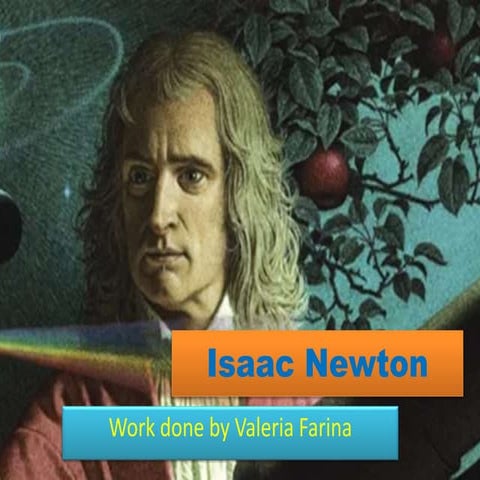 Newton by Valeria Farina