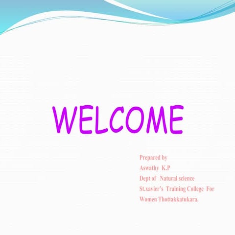 Microsoft power point