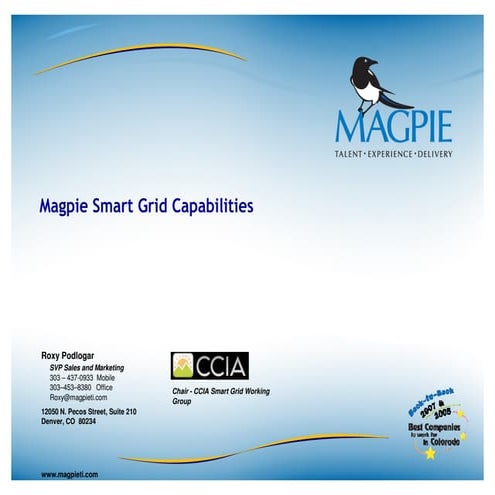 Magpie Smart Grid Software Engineering Offering