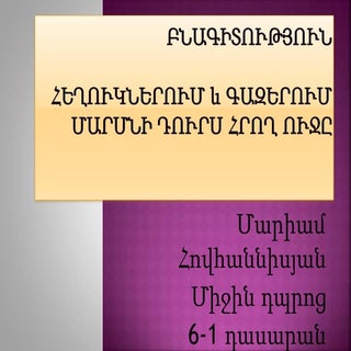 Հեղուկներում և գազերում մարմինը դու...